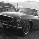 djh_0239